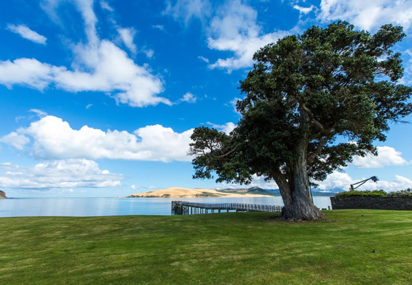 Two-Night Hokianga Superior Beachfront Stay for Two People incl. Daily Breakfast, Two-Course Dinner, Late Checkout & WiFi - Valid Sunday to Thursday