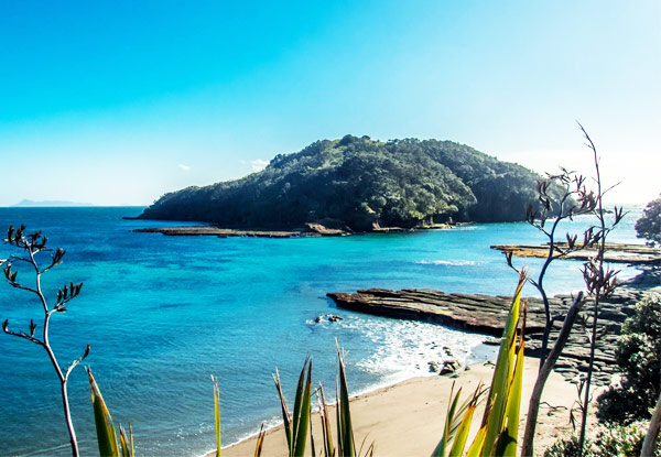 Guided Snorkel Experience at Goat Island Marine Reserve for One Person - Option for Two People