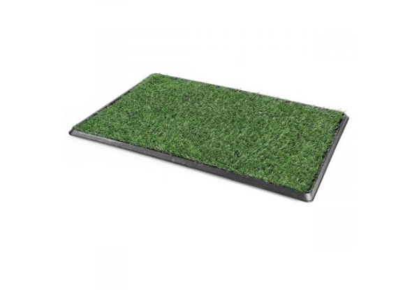 Indoor Pet Toilet Training Set with Two Grass Mats