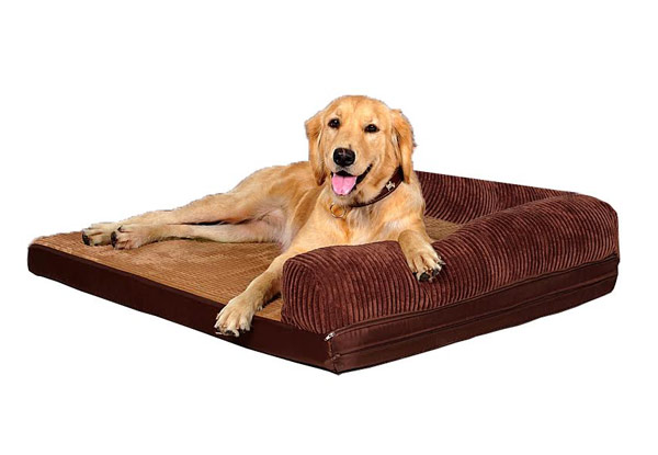 Pet Bed with Memory Foam - Three Sizes Available