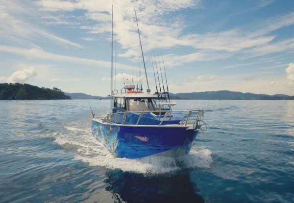 Snapper, Kingfish or Full Private Charter on the New Days Out Fishing Charter in the Stunning Bay of Islands