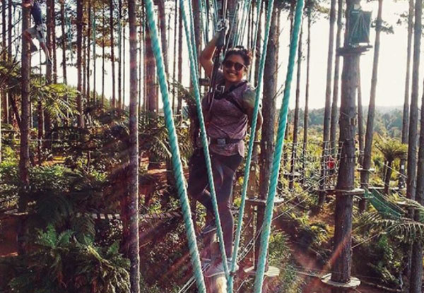Adult Admission to Adrenalin Forest Park - Valid at Auckland Location