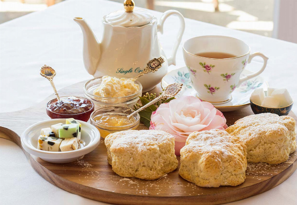 Devonshire Tea & Gardens Entry for Two People from Aston Norwood Gardens - Options for up to Six People
