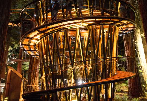 Redwoods Adventure Combo Experience incl. Fast Pass Entry to Redwoods Nightlights, Guided Altitude Tour & Daytime Treewalk Entry - Options for Adult or Child