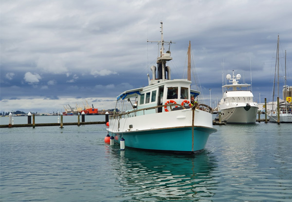 Bay of Plenty Fishing Excursion incl. Rod, Equip Hire & Bait for Two People - Option for up to Six People or One Extra Person