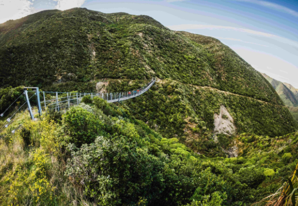 Four-Hour Mountain Bike Hire at Wildfinder Kaitoke