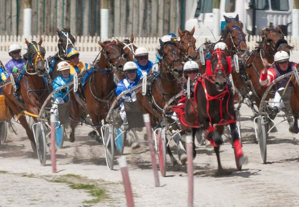 Christmas at the Races Buffet incl. Two Drinks & Dinner for Eight People - Options for Nine & Ten People Available