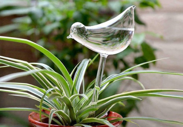 Plant Self Watering Device