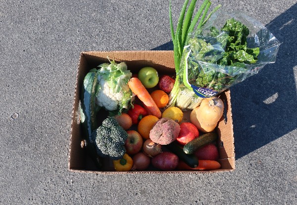 Mixed Fruit & Vegetables Delivered to Your Door with Free Delivery