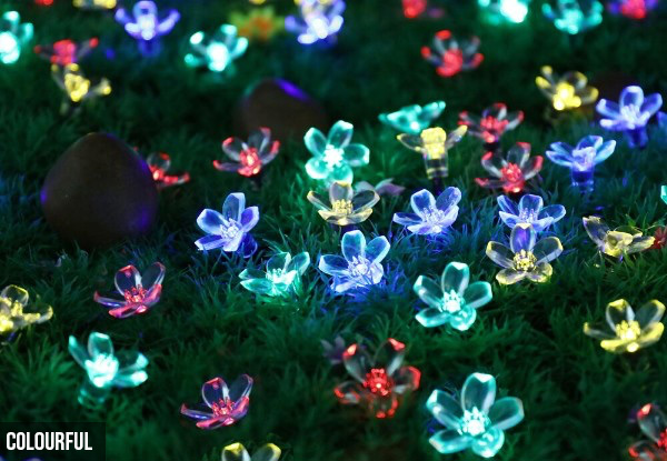 Solar Powered Flower String Lights with Free Delivery