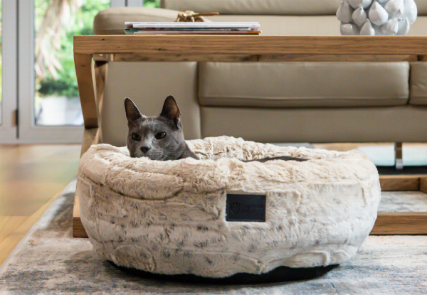 Superior Pet Goods Harley Pet Bed - Three Sizes Available