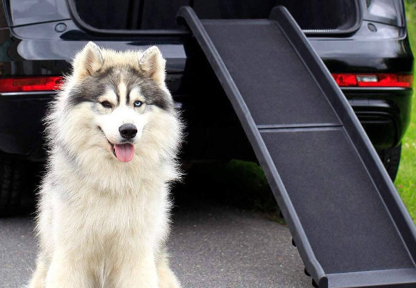 Portable Dog Ramp for Car