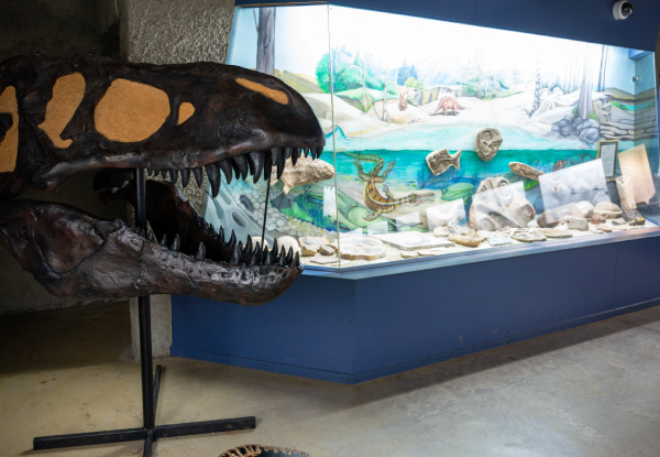 Visitor Pass to Crystal Mountain incl. Animal Park, Mystery Mountain Indoor Activities, Crystal Mine Museum, Train Ride, Carousel Ride & More - Options for Adult or Child Pass & Weekend & Weekday Access