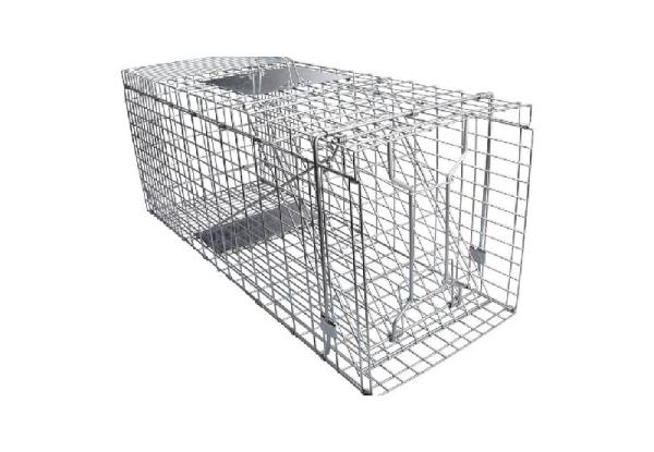 Collapsible Possum Cage Trap - Three Sizes Available