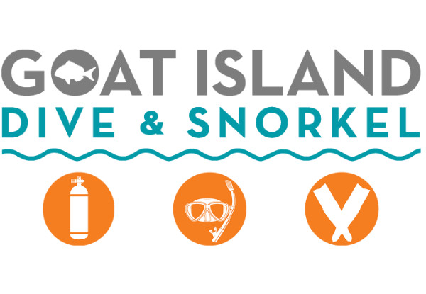 Guided Snorkel Experience at Goat Island Marine Reserve for One Person - Option for Two People