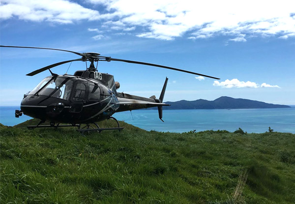 Kapiti Island Helicopter Day Out for One Person incl. Helicopter Flight Over Kapiti Island, Drink & Gourmet Platter at The Waterfront Restaurant