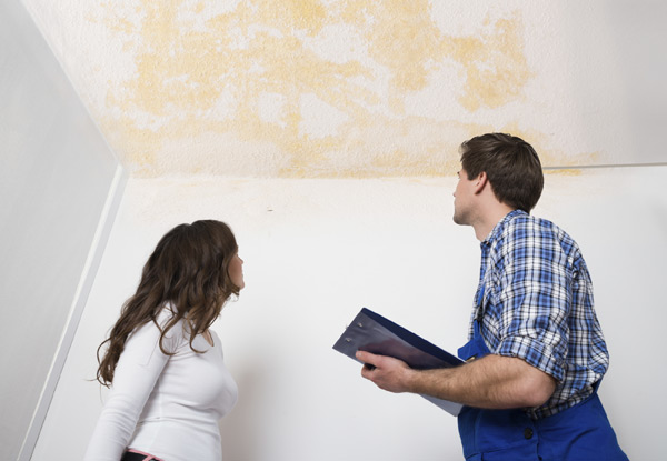 $65 for a Ceiling Clean for up to Three Rooms, or $150 for a Premium Ceiling Clean for Your Whole House (value up to $300)