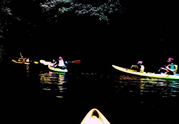 Three-Hour Glow Worm Kayak Trip