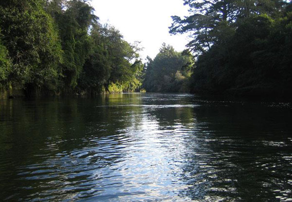 $44.50 for a Family River Cruise or $69 for a Three-Hour Deluxe Cruise for Two incl. Lunch (value up to $138)