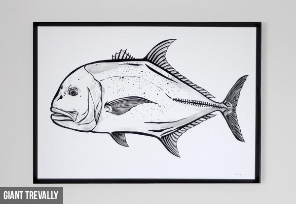 A3 New Zealand Fish Art Prints - Five Options Available with Free Delivery