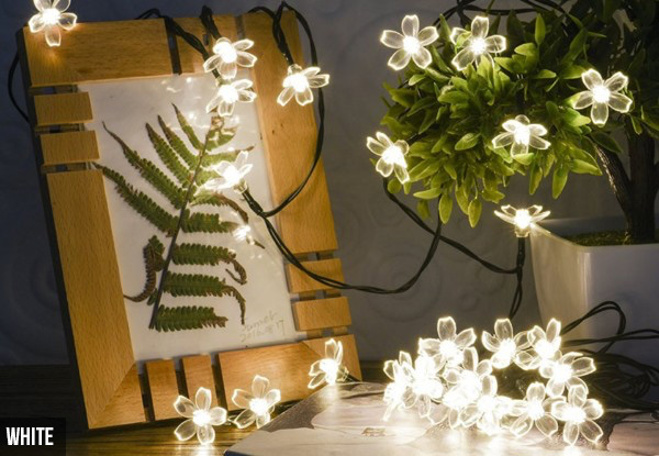 Solar Powered Flower String Lights with Free Delivery