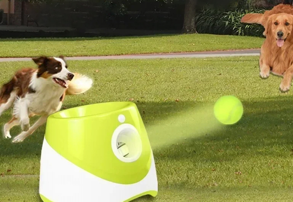 Automatic Dog Ball Launcher Incl. Three Balls - Three Colours Available