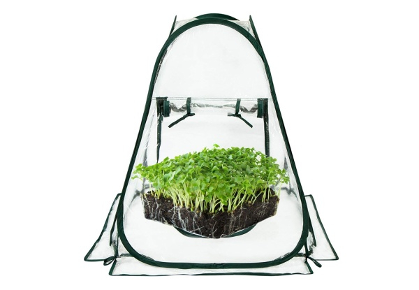 Pop-Up Greenhouse Plant Cover - Option for Two-Pack