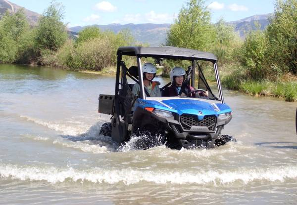 Premium Two-Seat Buggy Experience in Hanmer Springs