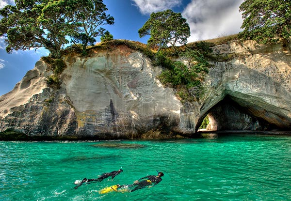 Adult Ferry Ticket to Coromandel Town Return - Option for a Child Ticket