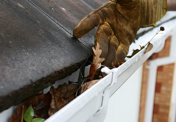 From $89 for a Gutter Clean, Flush & Roof Inspection with Installation of a Gutter Guard on All Down Pipes (value up to $350)