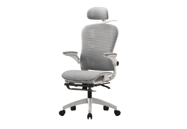 4D Adjustable Ergonomic Office Chair with Foot Support