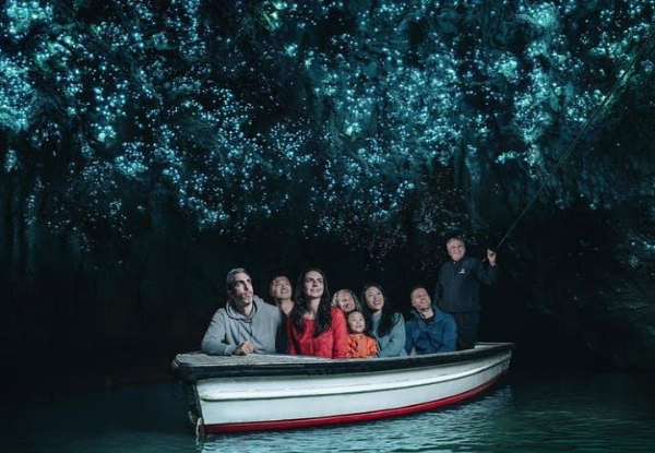 Waitomo Caves Tour & Boat Ride for One Person incl. Travel from Auckland  - Options for up to Four People