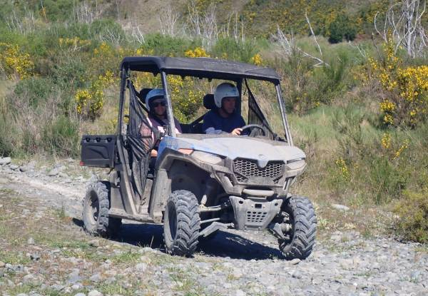 Premium Two-Seat Buggy Experience in Hanmer Springs