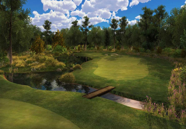 Virtual Golf Simulator Experience
