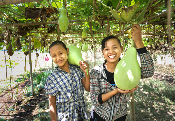 Gift Fast-Growing Seeds with World Vision Smiles - Two Options Available