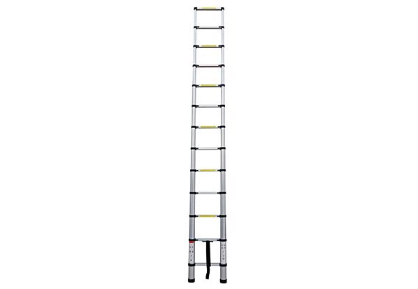 $99.99 for an Telescopic 3.8m Ladder
