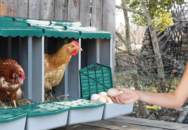 Three-Hole Chicken Nesting Box - Two Colours Available