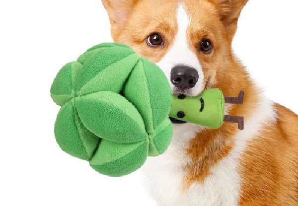 Dog Broccoli Snuffle Ball Toy