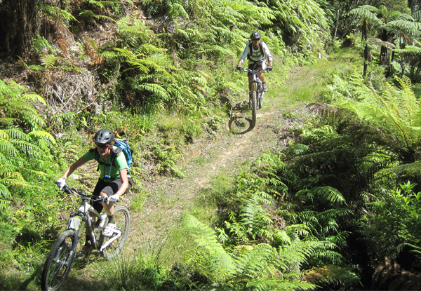 Per Person Exhilarating Seven-Day North Island Mountain Bike Tour incl. Guides, Transport, Excursions (Jet Boat/Cultural Exp), Breakfasts & More - options for Shared or Private Accommodation