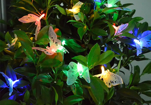 Solar Powered Butterfly Lights