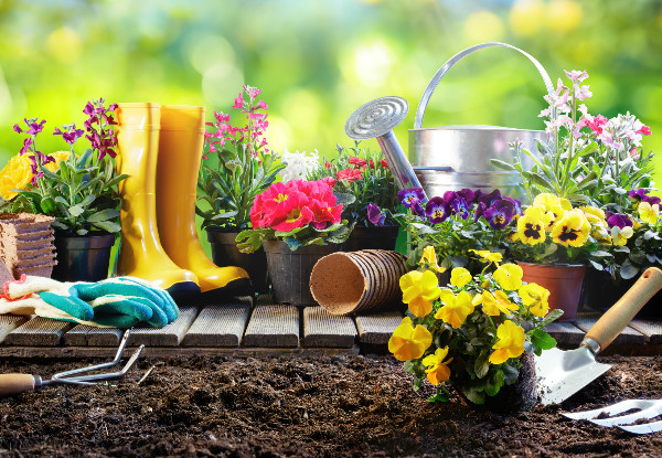 Lawn Mowing and/or Gardening - Options for up to Four-Hours of Service