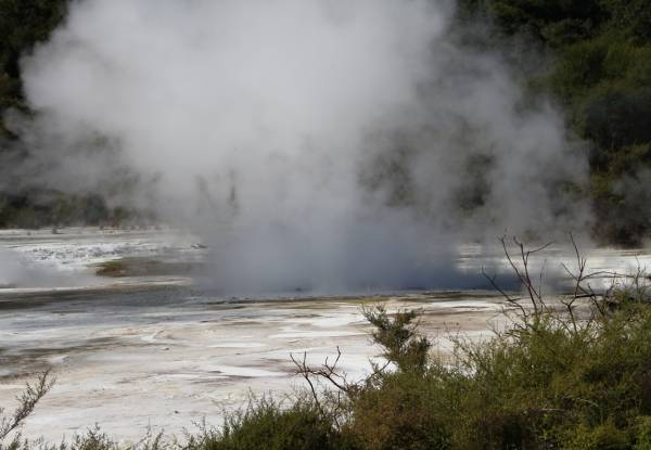 General Admission to Orakei Korako Geothermal Park & Cave - Option for Adult or Child Pass