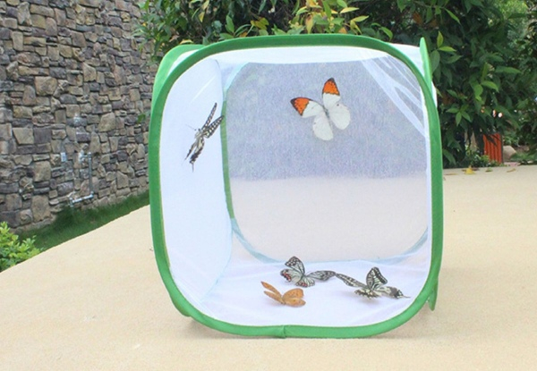 Folding Insect Cage - Three Sizes Available & Option for Two-Pack