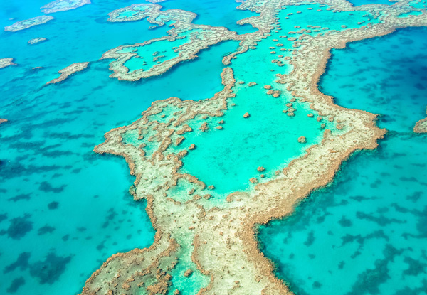 Per-Person Twin-Share Eight-Night Fly/Stay/Cruise Discover the Queensland Coast & Great Barrier Reef Tour incl. Meals & Entertainment