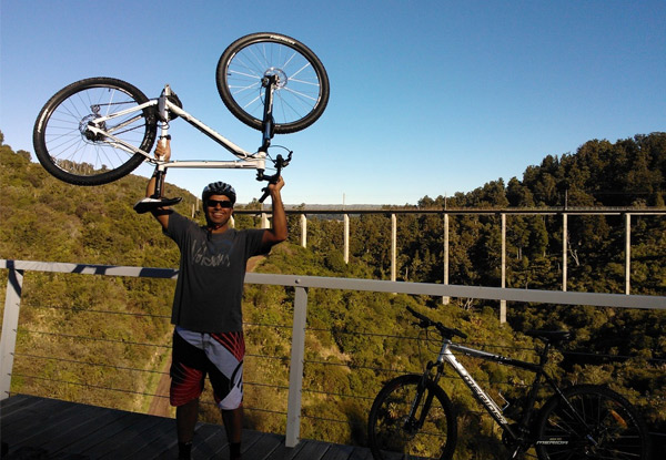 Ohakune Old Coach Road Mountain Biking Adventure for One Person
