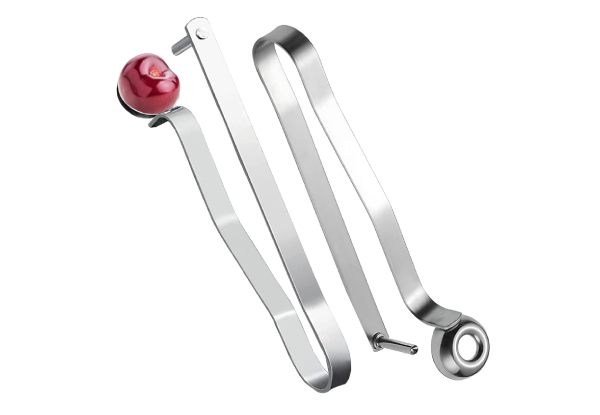 Stainless Steel Fruit Remover Pitter Tool