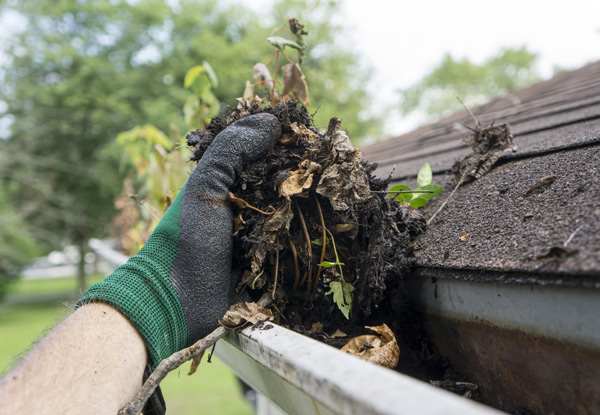 Complete Spouting & Gutter Clean-Out