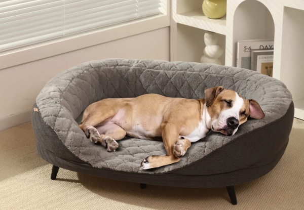 Pet Scene Raised Pet Soft Cushioned Couch