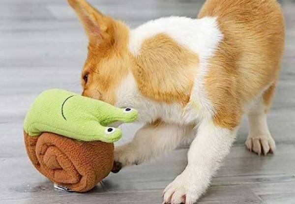 Dog Squeaky Snail Toy