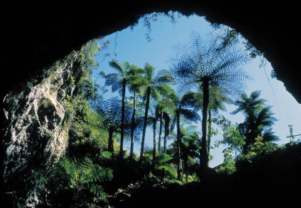 General Admission to Orakei Korako Geothermal Park & Cave - Option for Adult or Child Pass